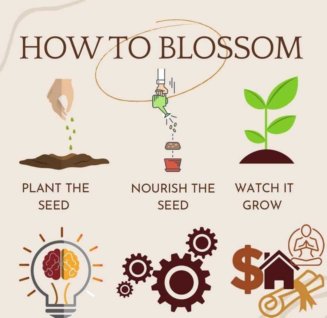 Blossom Campaign Free Kit - Sunflower Cabana